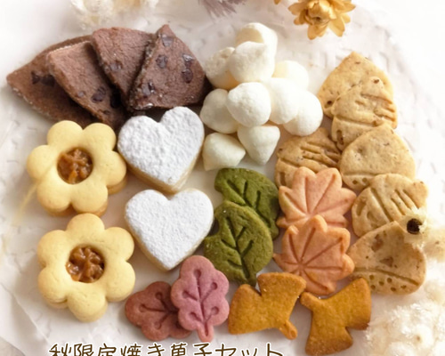 手作りお菓子､手作りクッキー、秋限定焼き菓子セット クッキー