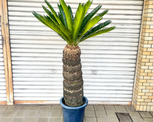 16afb60897fb99f47575186f5df7fd