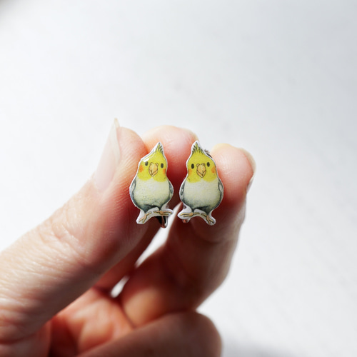 オカメインコ ノーマル首かしげ ぷくぷく チタンピアス 手乗り