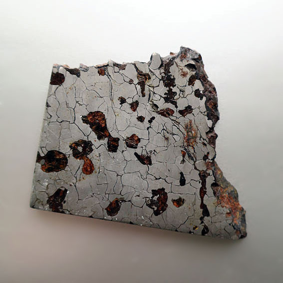 【メテオライト／オーストラリア】マイルズ隕石 IIE 67.62g レア コレクターズ × 素材の旅2025