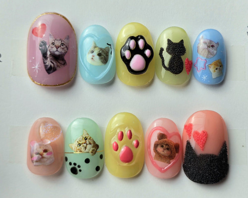 8a9a4a352067333a53d489c8897f1f