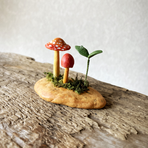 きのこ I went mushroom hunting and there was a bumper crop of