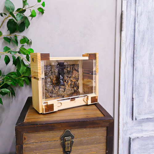 木製昆虫ケース ～クワガタ鑑賞～【くわウインドウLL】 ハウス・小屋