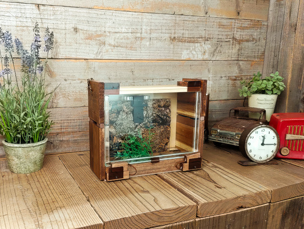 木製昆虫ケース ～クワガタ鑑賞～【くわウインドウLL】