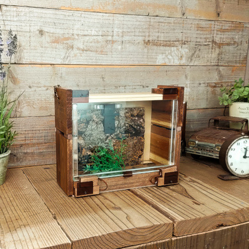 木製昆虫ケース ～クワガタ鑑賞～【くわウインドウLL】 ハウス・小屋