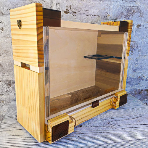 標本箱　3個セット　バードウイング　ケース　ウッド　木箱　クワガタ　カブトムシ 昆虫飼育用品 標本箱」の人気商品一覧 | 安い商品を通販サイト