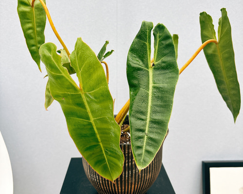 ed9d79ca01a83901865af085854a04