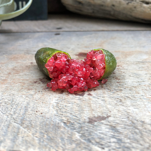 k*s様 特選品③実が20個以上付いてるフィンガーライム・リトルルビー リトルルビー♡実付き♡フィンガーライム♡ピンク♡希少♡高級食材