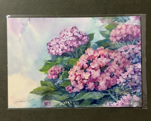 5d84437ccc93d9e511d055ebeecf6c