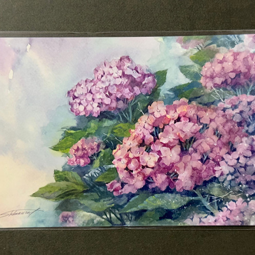 花の絵はがき3種セット「紫陽花・花満開・マーブルローズ
