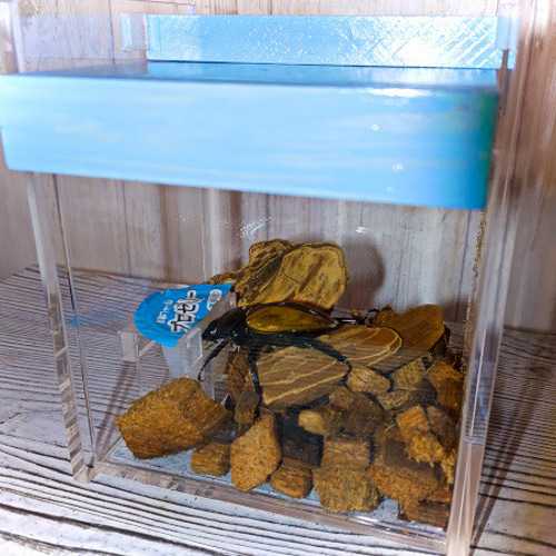 アクリル昆虫ケース ～クワガタ鑑賞～【くわキューブ】 ハウス・小屋