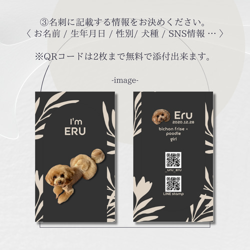 うちの子名刺 セミオーダー両面印刷100枚 QRコードオプションなし
