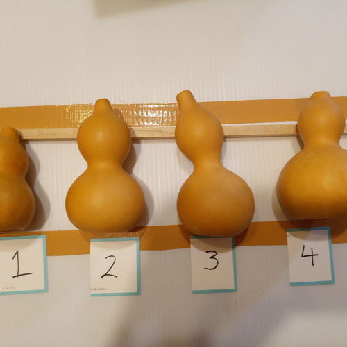 天然ひょうたんーB級 その他素材 ウッデッドウェイ 通販 18267235