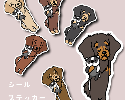 おりこうさんで待ってたワイヤーヘアードダックスちゃん