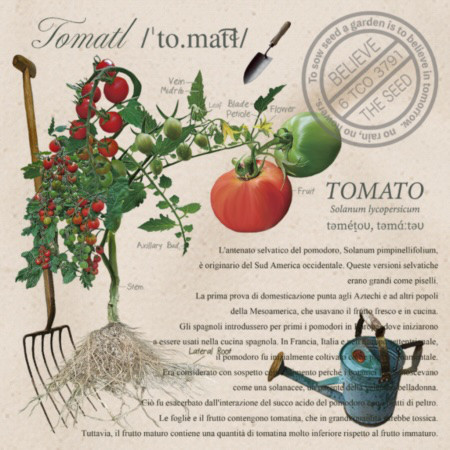 コットン100%キャンバスエプロン12.2oz 厚手】DIY・ガーデニング・クッキングに大活躍