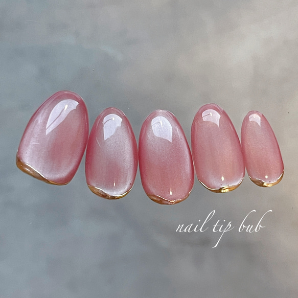 新品リピネイル ネイルチップ (グルー、アルコールパッド