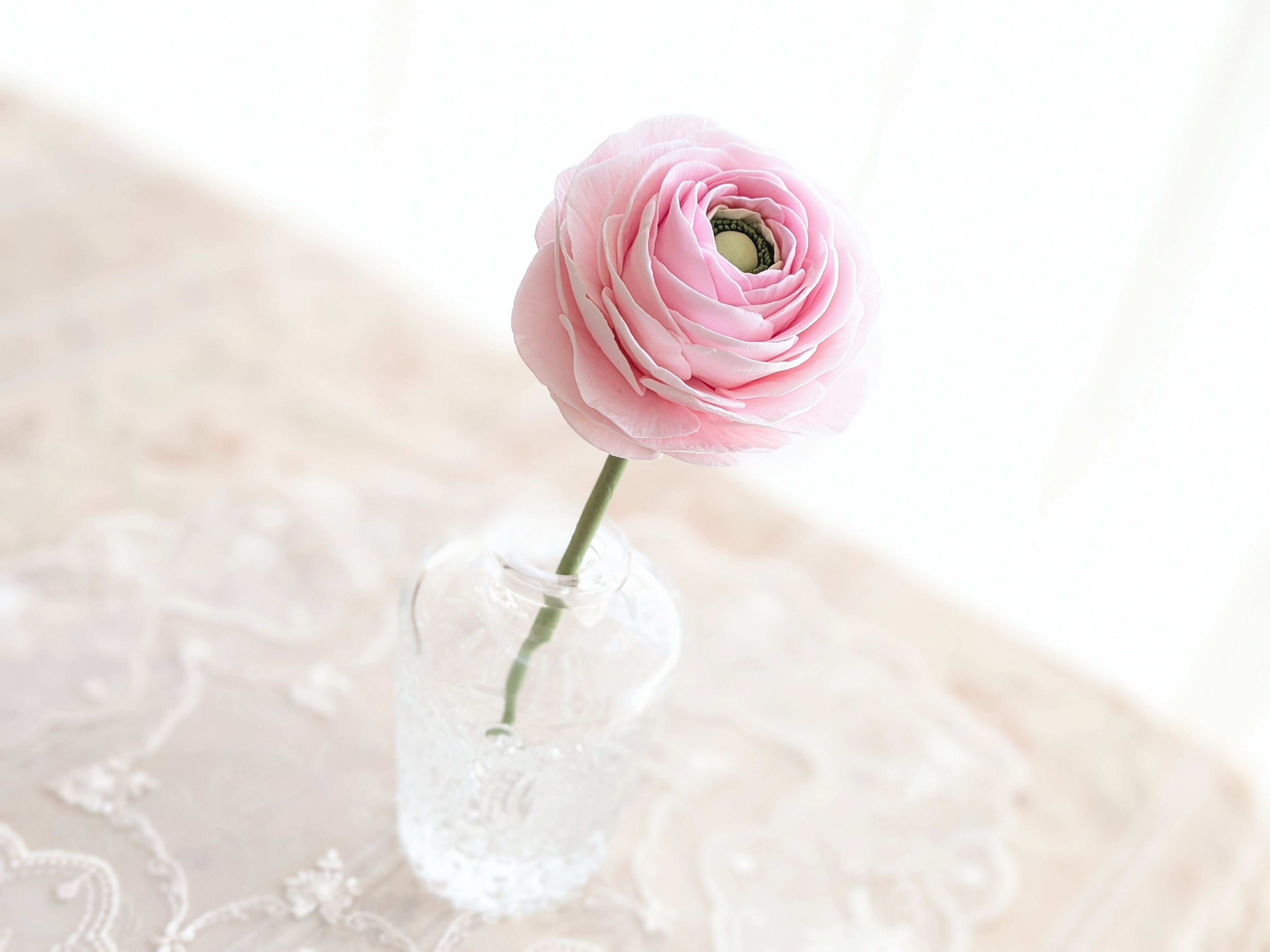 ANNE CLAY FRANCE アンヌ・クレイ ピンクバラ 薔薇 925 sv（バラ