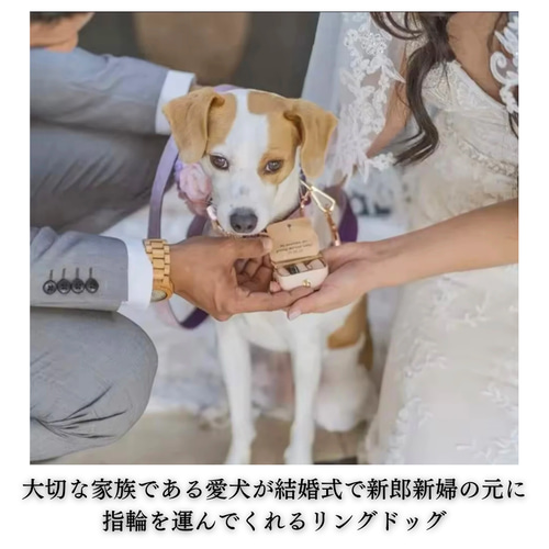 リングドッグ リングピロー リングボックス ペット 愛犬 完成品 指輪