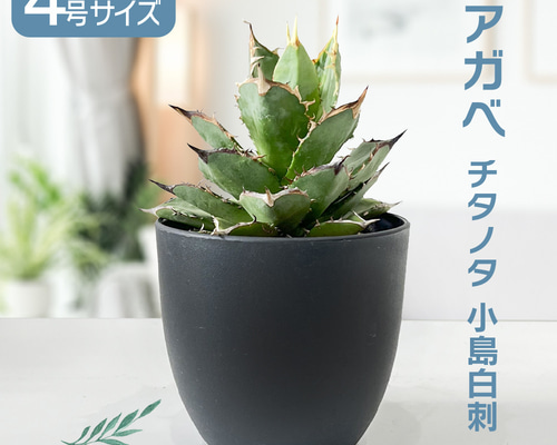 56ffdee65a9939bffbc791cccd0a2a