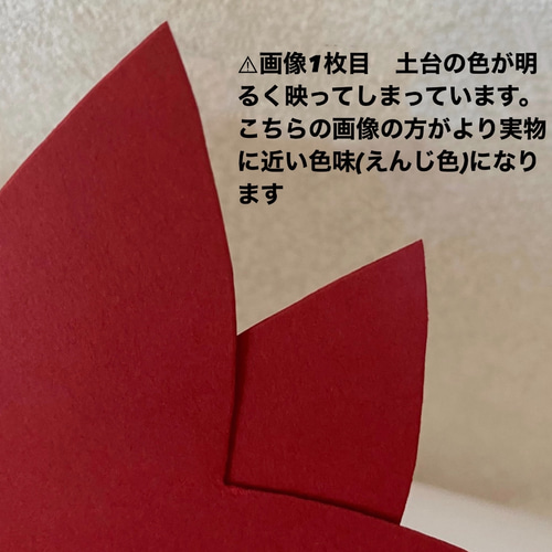 ポインセチア クリスマス 冬 保育園 幼稚園 高齢者施設 製作キット