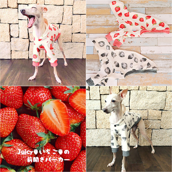 送料込】イタグレ服 Juicyいちご前開きパーカー IS・IM・IL・ILL・IXL