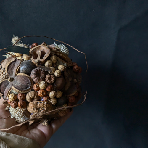 木ノ実のボールリース フライングリース 木ノ実のボールリース