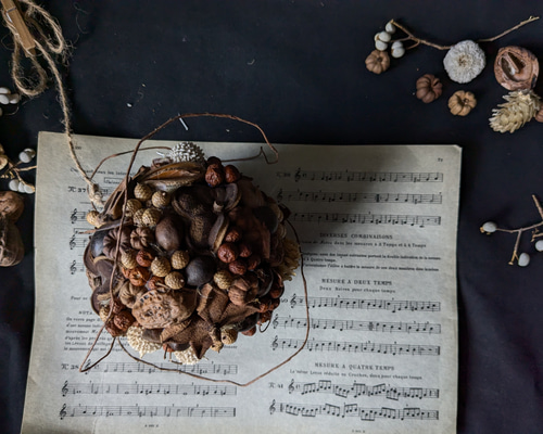 木ノ実のボールリース　フライングリース 木の実のボールリース リース atelier-plantsplanet 通販