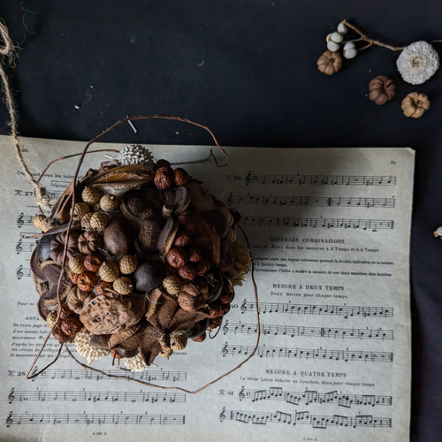 木ノ実のボールリース　フライングリース 秋の木の実のフライングボール* ドライフラワー Chêne 通販