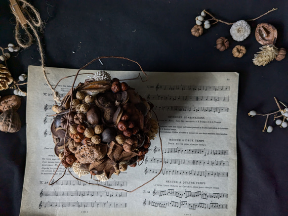 木ノ実のボールリースフライングリース