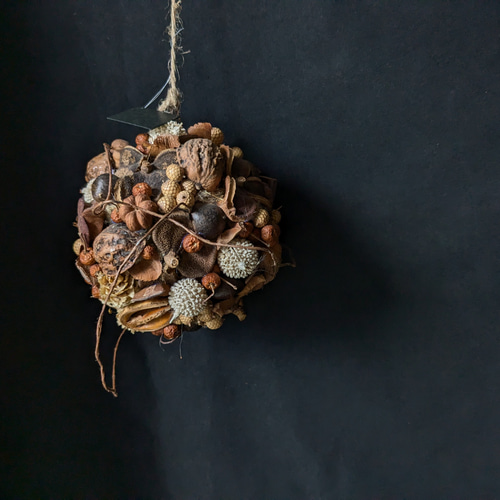 木ノ実のボールリース　フライングリース 秋の木の実のフライングボール* ドライフラワー Chêne 通販