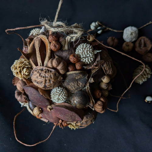 木ノ実のボールリース　フライングリース 秋の木の実のフライングボール* ドライフラワー Chêne 通販