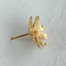 波斯菊耳釘 第2張的照片