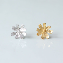 波斯菊耳釘 第4張的照片