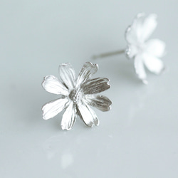 波斯菊耳釘 第3張的照片