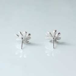 波斯菊耳釘 第5張的照片