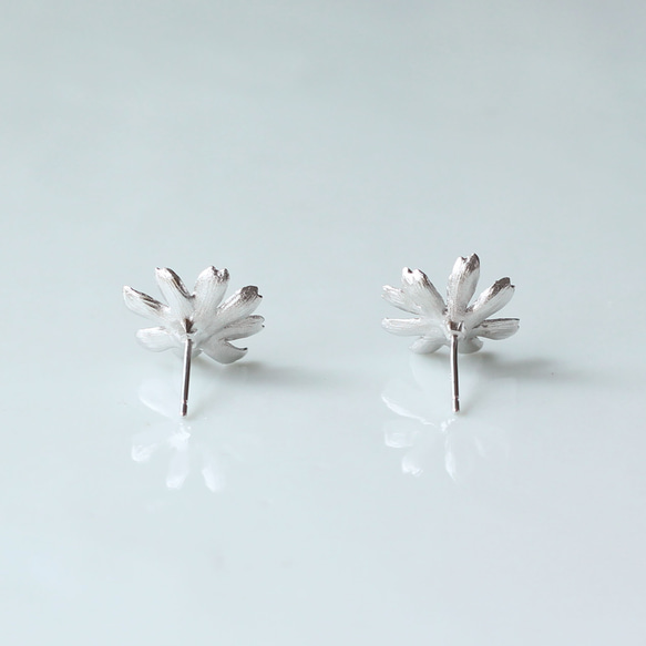 波斯菊耳釘 第5張的照片