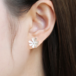 波斯菊耳釘 第7張的照片