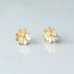 波斯菊耳釘 第6張的照片