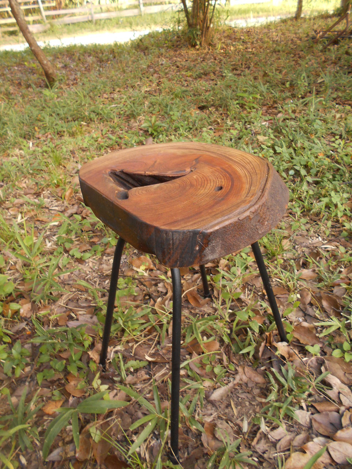 けやき低アイアンイス09-20　高さ41㎝（僅かな高さ変更可能：45㎝まで）