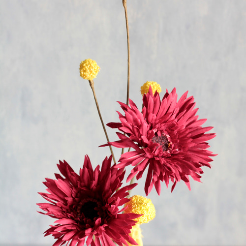 レッドガーベラ2本とスプレークラスペディア】｜アーティフィシャル