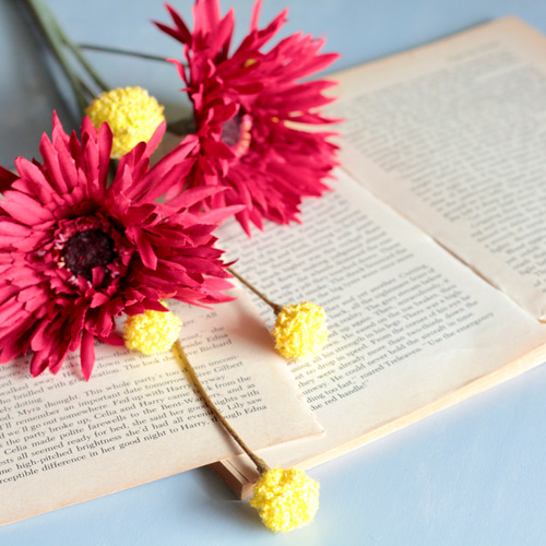 レッドガーベラ2本とスプレークラスペディア】｜アーティフィシャル