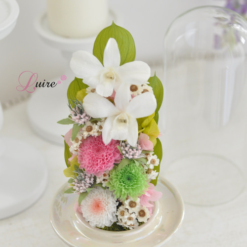 Lサイズドーム仏花】繊細なデンファレ、小菊の美しい ガラスドーム仏花