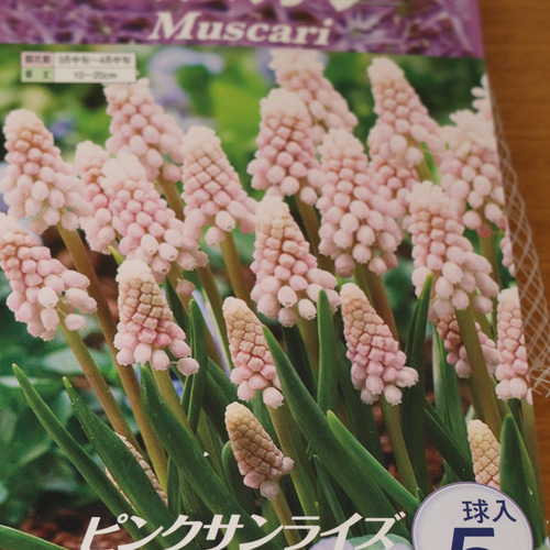 のり様＊オーダー用ページ
