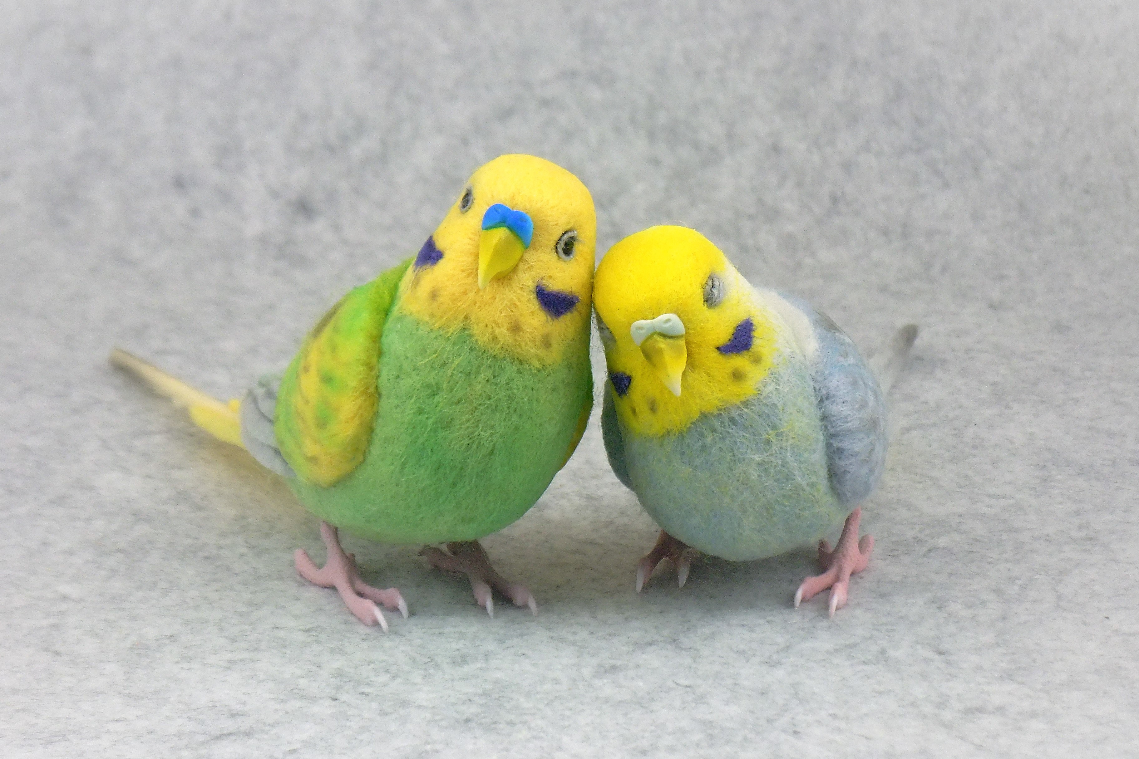 ヨッシー様専用 ヨッシー様専用 ヨッシー様専用 ヨッシー様専用