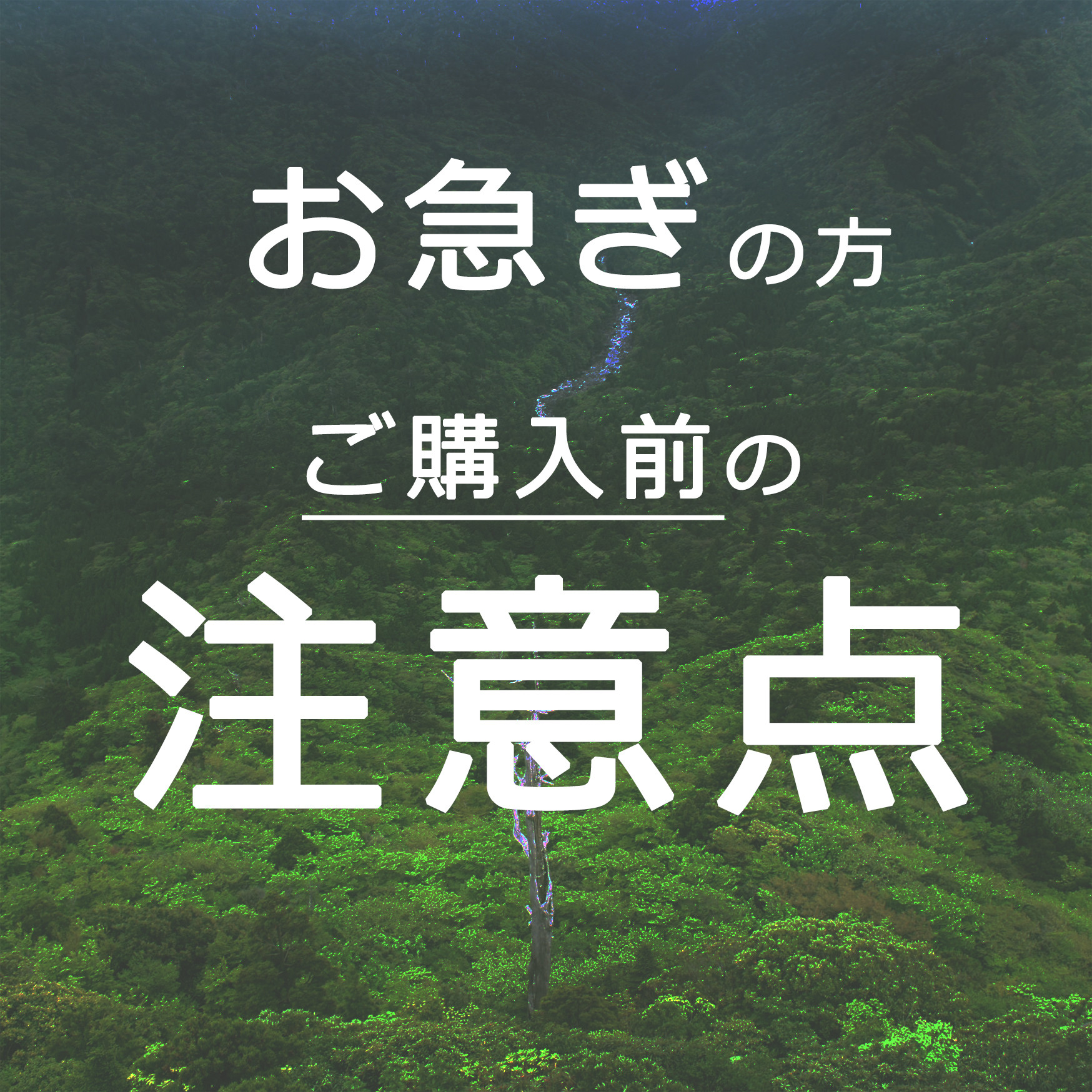 ■【お急ぎの方へ】⚠︎ご購入前にご注意ください⚠︎