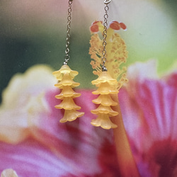 ハワイアンニイハウ＊モミシェル＆カヘレラニシェルイヤリング ピアス