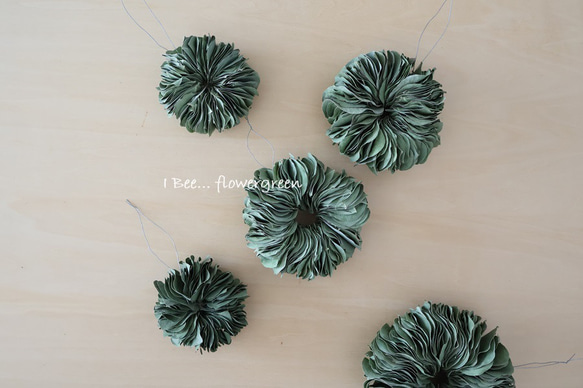 2個セット ユーカリポポラスのミルフィーユリース ドライフラワー I