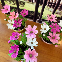 再販しました！》樹脂粘土製 ミニ盆栽〈五色椿〉 盆栽 AB-Hachi Garden