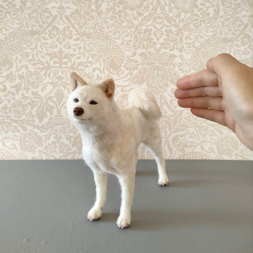 白柴さん〈24093〉 羊毛フェルト 羊毛わんこ 福や工房 通販