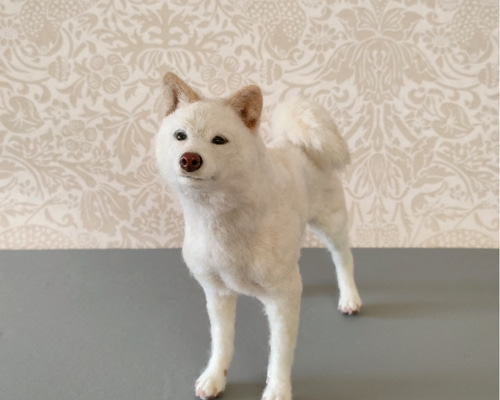 白柴さん〈24093〉 羊毛フェルト 羊毛わんこ 福や工房 通販